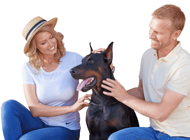 Серия Prestige для тех, кто заботится о собственном комфорте, выбирая энергоэффективные конструкции Серия Prestige для тех, кто заботится о собственном комфорте, выбирая энергоэффективные конструкции